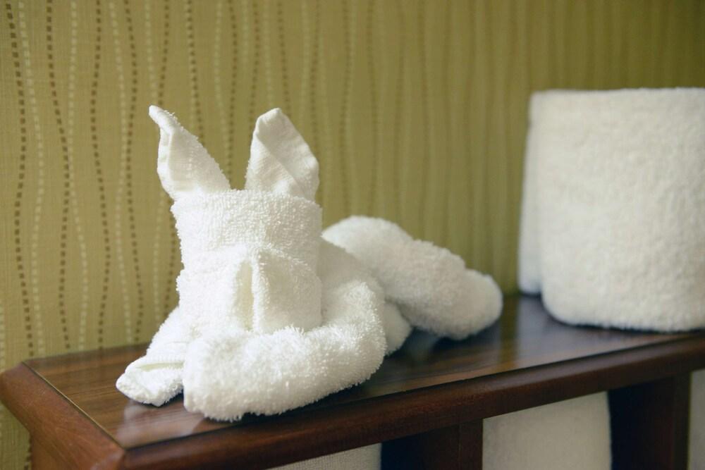 Hotel Hampton Inn&suites El Paso-airport